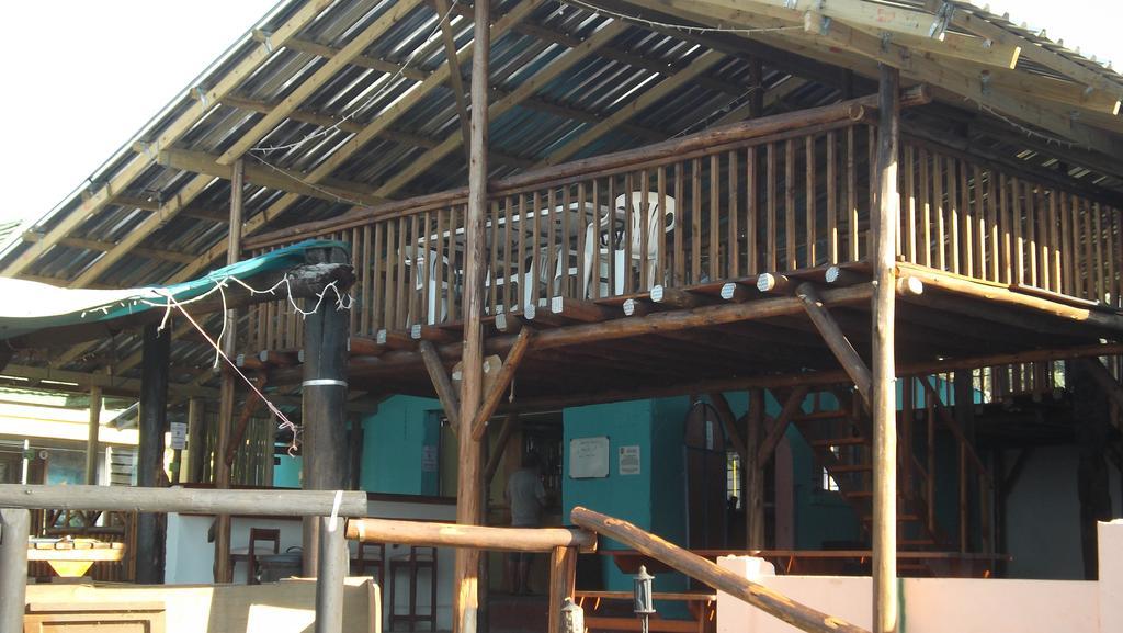 Jungle Monkey Backpackers Vandrehjem Port Saint Johnʼs Eksteriør billede